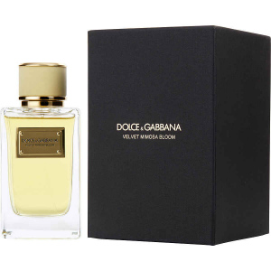 Dolce & Gabbana Velvet Mimosa Bloom